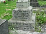 image of grave number 313637